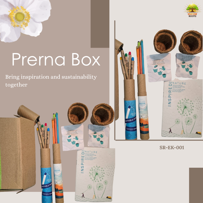 Prerna Box