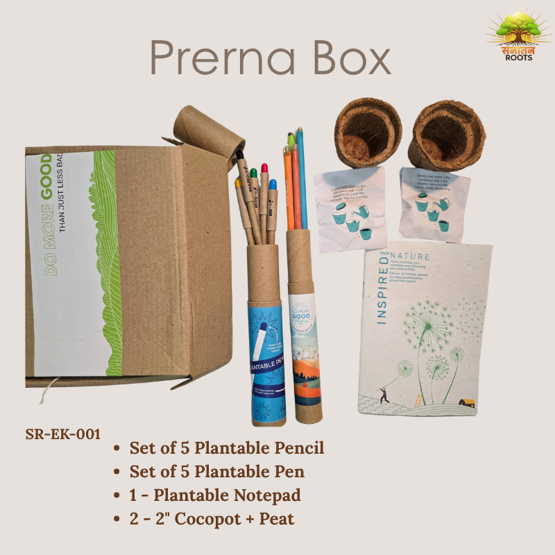 Prerna Box